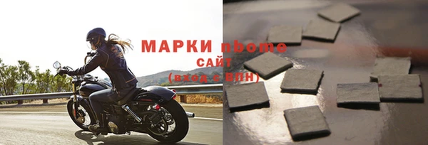 прущий лед Алзамай